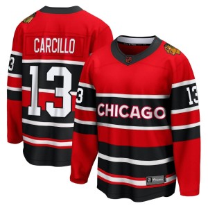 Men's Chicago Blackhawks Daniel Carcillo Fanatics Branded Breakaway Special Edition 2.0 Jersey - Red